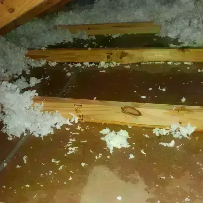 Attic Water Damage in Franklin County, AR