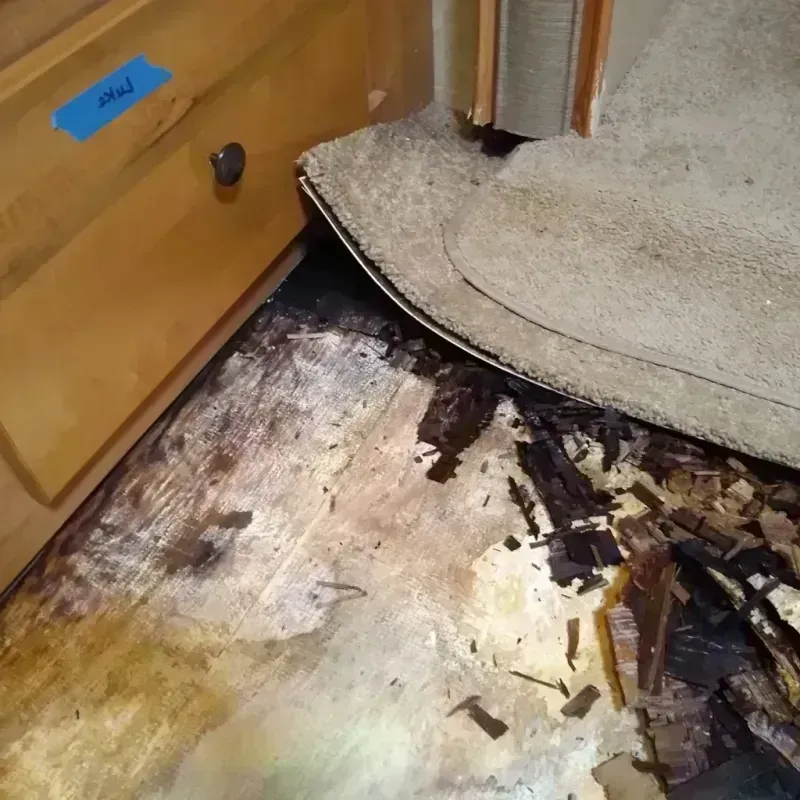 Best Wood Floor Water Damage Service in Franklin County, AR